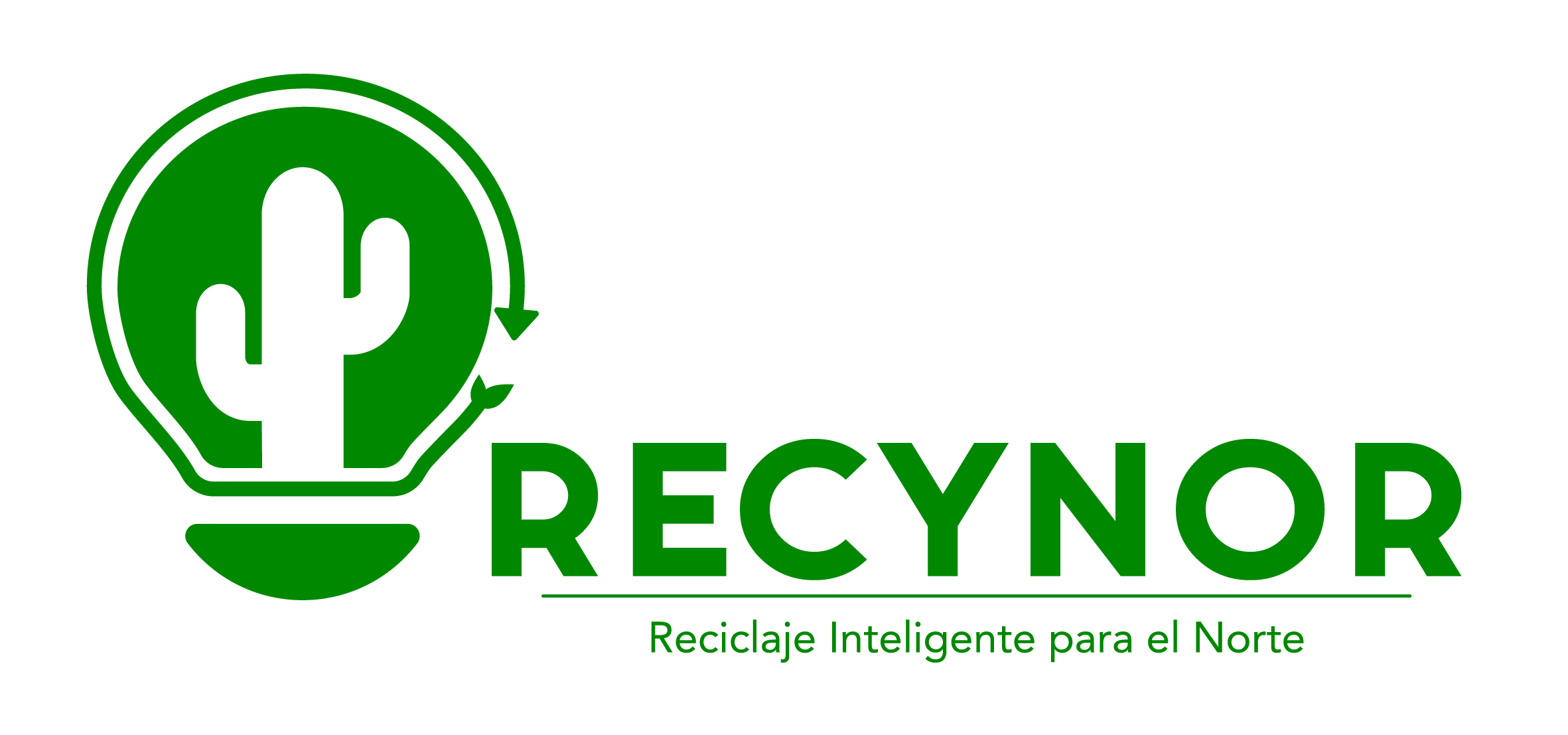 (c) Recynor.cl